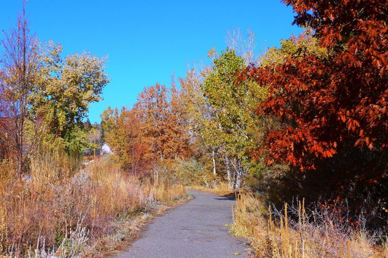 Walking Groups in Parks Prescribed as Gentle Exercise people walking together along a park path in the morning